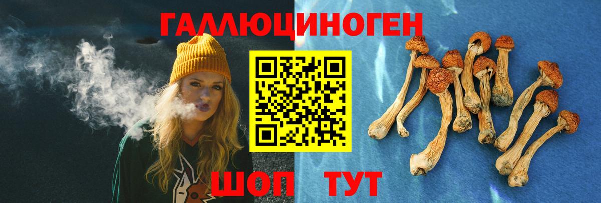 Галлюциногенные грибы GOLDEN TEACHER  Галлюциногенные грибы мицелий  Вход с VPN  Тобольск 