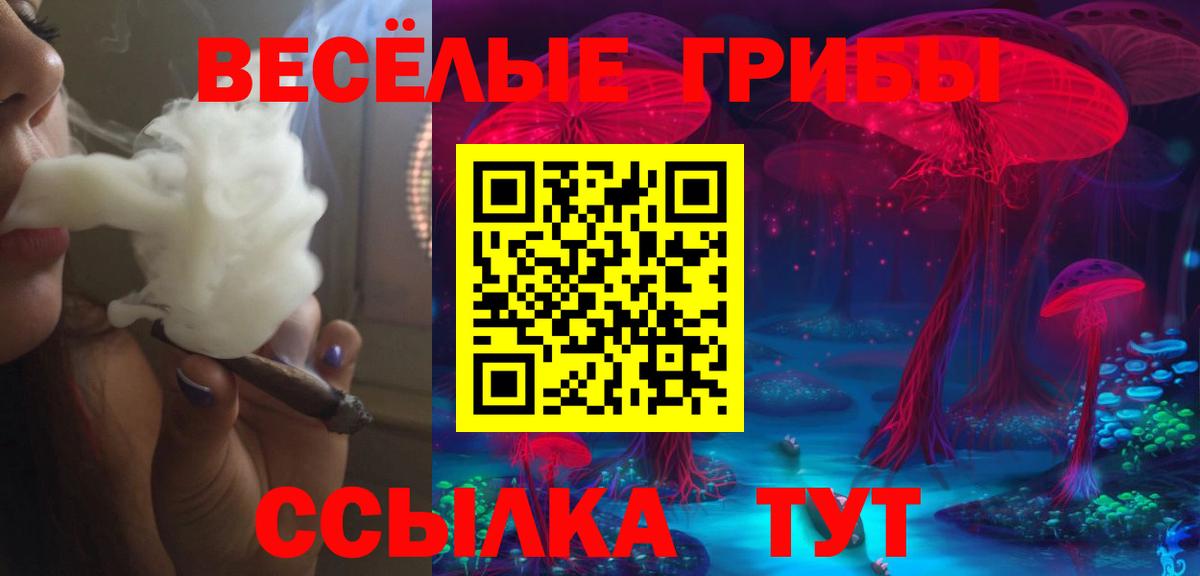 Псилоцибиновые грибы GOLDEN TEACHER Тобольск